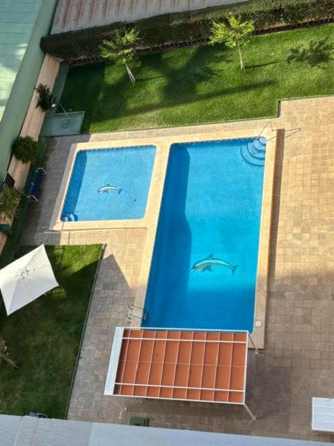 Apartment Karina If
